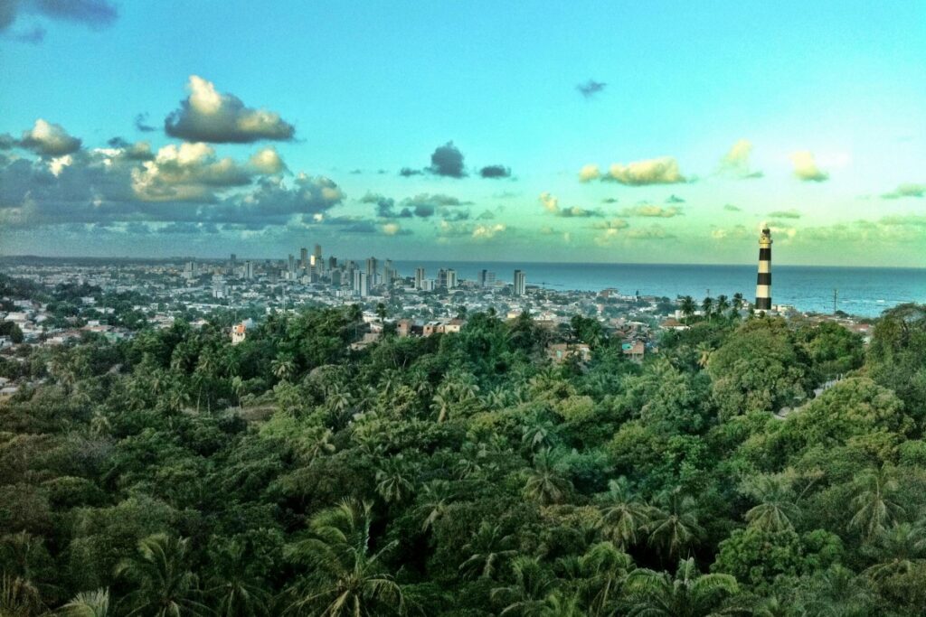 Esta imagem apresenta uma vista panorâmica de uma cidade brasileira. No fundo, a skyline com edifícios altos se contra - põe ao mar, enquanto um farol com tons pretos e brancos chama a atenção. À frente, uma extensa área verde com muitas árvores, incluindo palmeiras. No contexto de "Instagram Brasil Estratégias Eficazes para Crescer Sua Marca", se sua marca está relacionada ao turismo, à preservação ambiental ou aos serviços locais, imagens como esta podem ser muito úteis. Compartilhe - a no Instagram e utilize hashtags como #CidadeBrasileira, #FarolBrasil, #NaturezaBrasileira e #TurismoLocal para aumentar a visibilidade da sua publicação. Isso pode ajudar a alcançar um público mais amplo, interessado nas características únicas da cidade e da região, e a fazer com que sua marca seja mais conhecida.