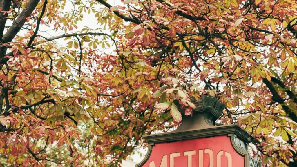 Como influenciadores do Snapchat no Brazil fecham com marcas do United Kingdom