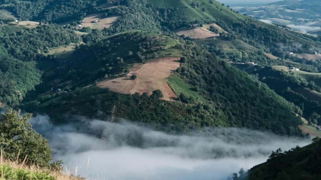 Top 10 Instagram Influencers Para Colaborar Em Portugal