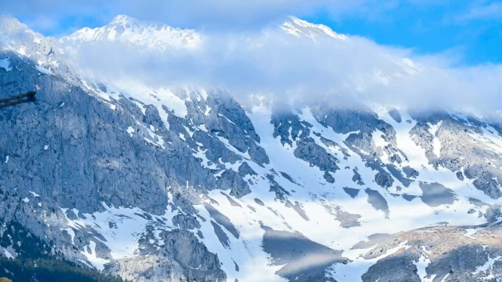 Guia pratico para creators brasileiros que querem contatar marcas equatorianas via Line, negociar colabs e criar outfits com produtos locais taticas, roteiro de abordagem e exemplos reais.