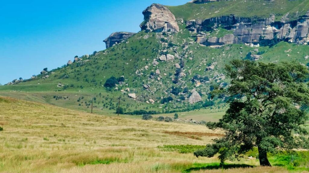 Guia pratico para marcas brasileiras encontrarem creators suecos no Discord e lancar linhas de suplementos com estrategia de comunidade e co-criacao.