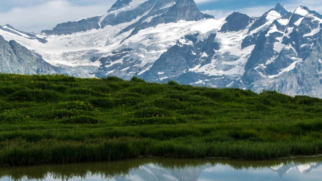 Guia pratico para anunciantes brasileiros encontrarem criadores iraquianos no Bilibili e lancar desafios patrocinados com seguranca, passos taticos e checklist operacional.