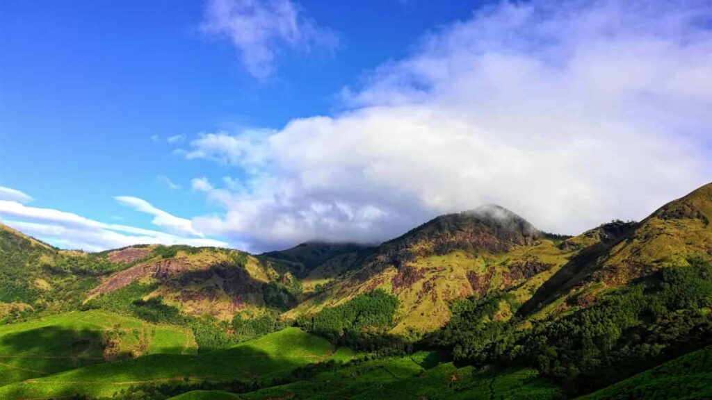 Guia pratico para creators brasileiros alcancarem marcas de Oma no TikTok e transformar parcerias em prova social para o media kit.