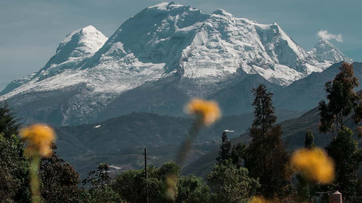 Agências Brasil: achar criadores Clubhouse na Argélia pra tours