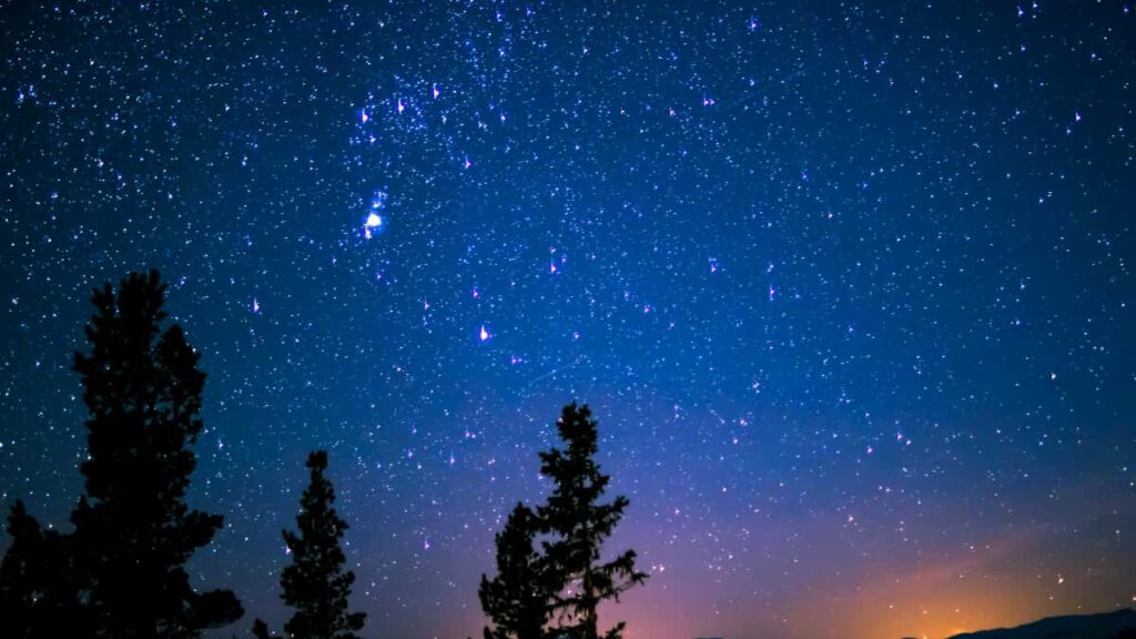 Guia pratico para criadores brasileiros que querem se conectar com marcas da Bulgaria no Bilibili e construir reputacao com grandes players.