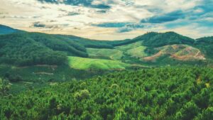 Guia pratico para criadores brasileiros que querem contatar marcas de Israel na Chingari e produzir lookbooks comerciais, com taticas, exemplos e checklist.