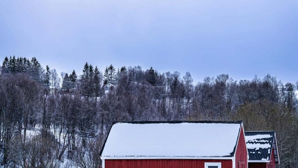 Guia pratico para anunciantes brasileiros encontrarem creators argelinos no Roposo e montar desafios de danca que viralizam.