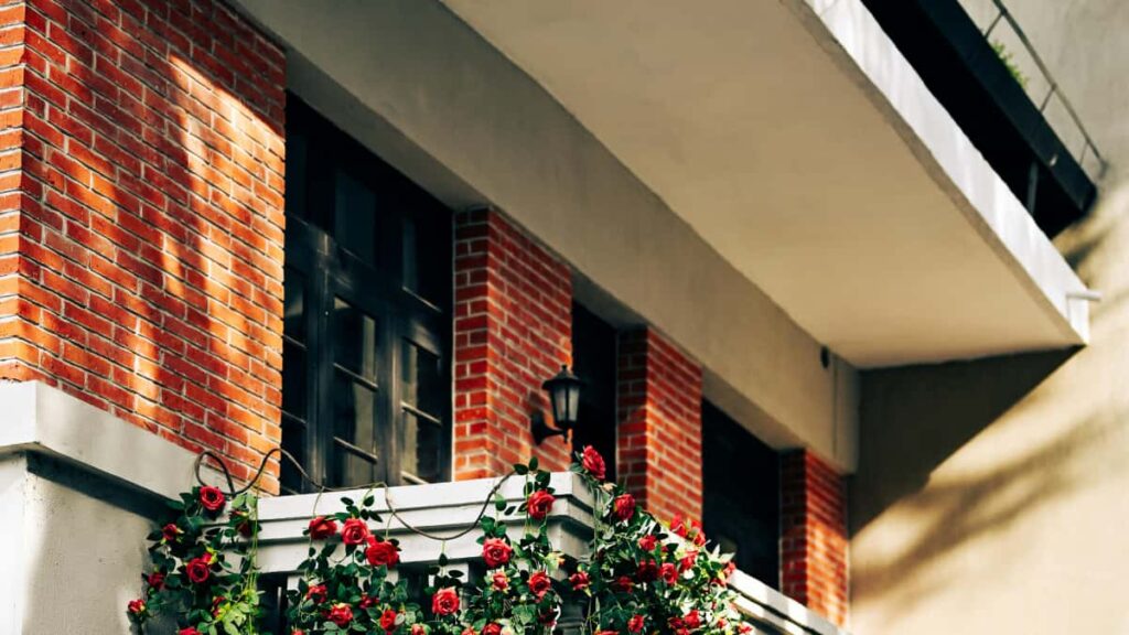 Guia pratico para criadores brasileiros que querem contatar marcas israelenses no Rumble e promover habitos saudaveis com audiencia engajada.