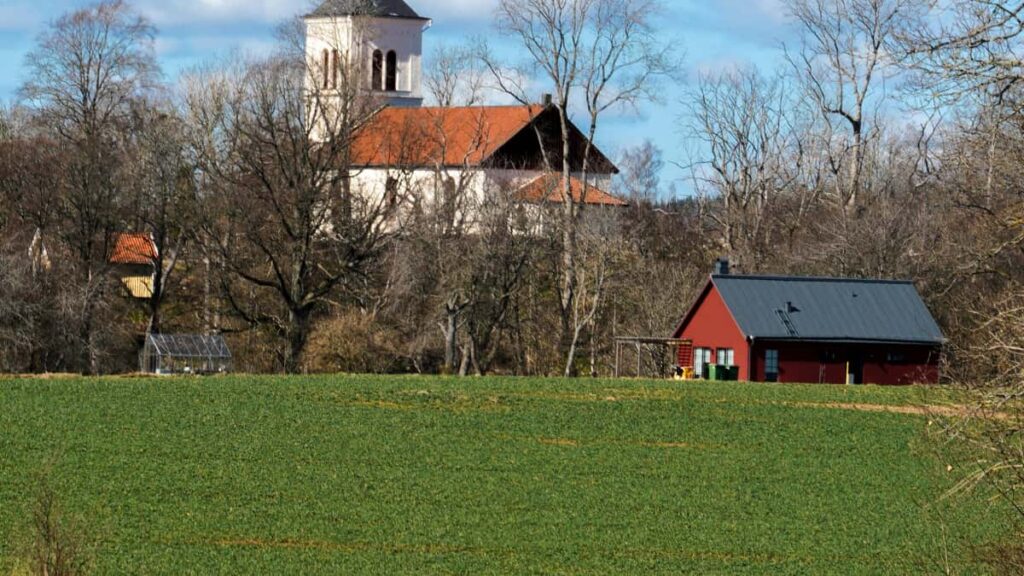 Taticas praticas para creators brasileiros se conectar com marcas da Belgica no Moj e criar conteudo localizado que converte.