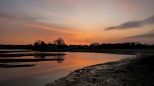 Estrategias praticas para creators brasileiros se conectar com marcas paraguaias via Disney+ abordagem, negociacao e exemplos acionaveis com dados de mercado.