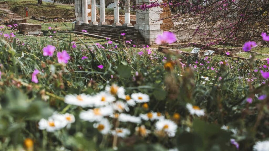 Guia pratico para creators brasileiros alcancarem marcas da Georgia no Chingari e venderem com links de afiliado taticas, formato de conteudo e outreach passo a passo.