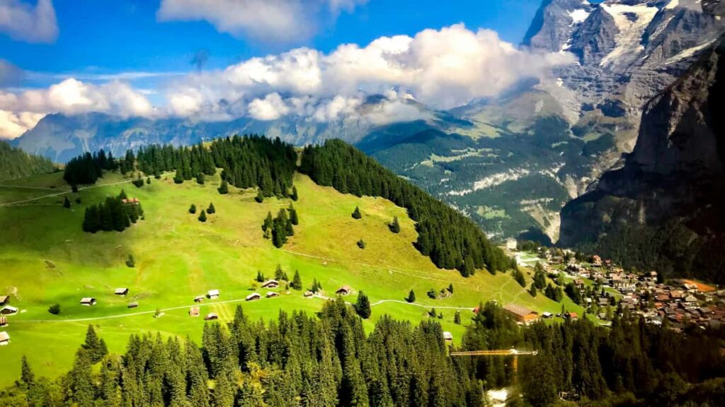 Guia pratico para creators no Brasil que querem contatar marcas belgas via Zalo e publicar cobertura de eventos com tags de patrocinador.