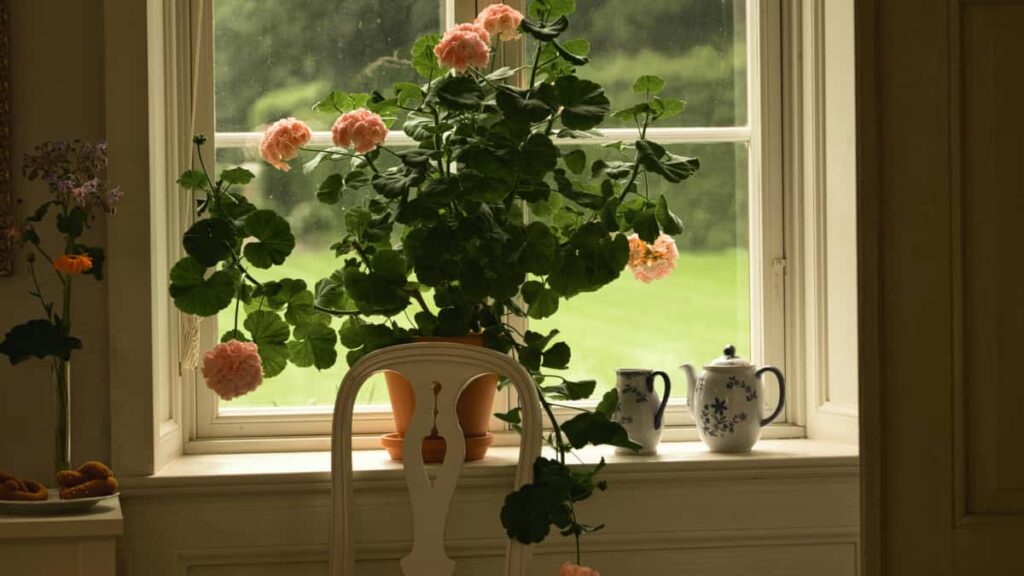 Guia pratico para criadores brasileiros: como encontrar, abordar e converter marcas dos EUA no Discord para promover faixas em challenges.